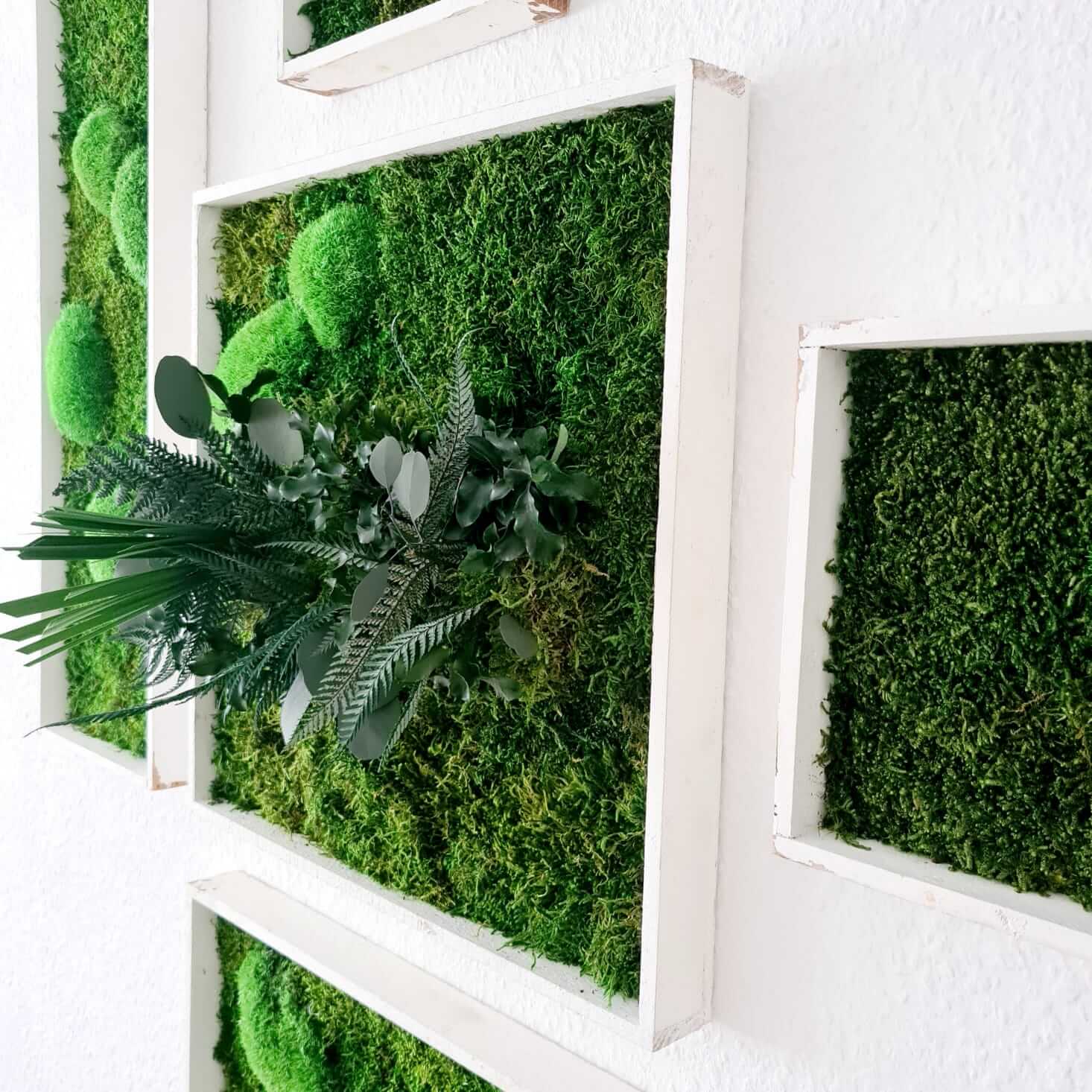 Smarte Optik: Moosbilder und Grüne Wände für Zuhause und Büro - Moosbilder und Grüne Wände für Zuhause & Büro | ad2living